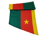 Cameroon Arm Wave Sleeve Flag with removable wing