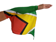 GUYANA Arm sleeves Flag (Arm band)